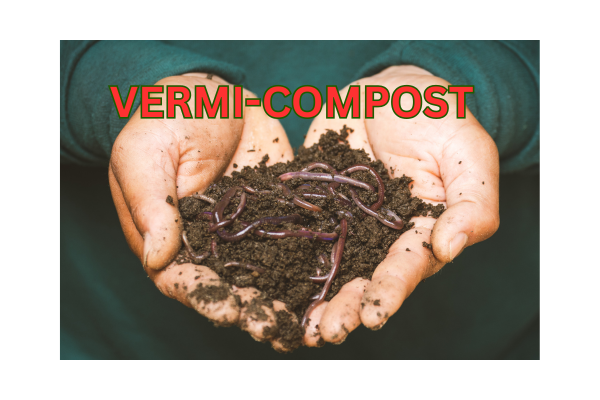 vermicompost